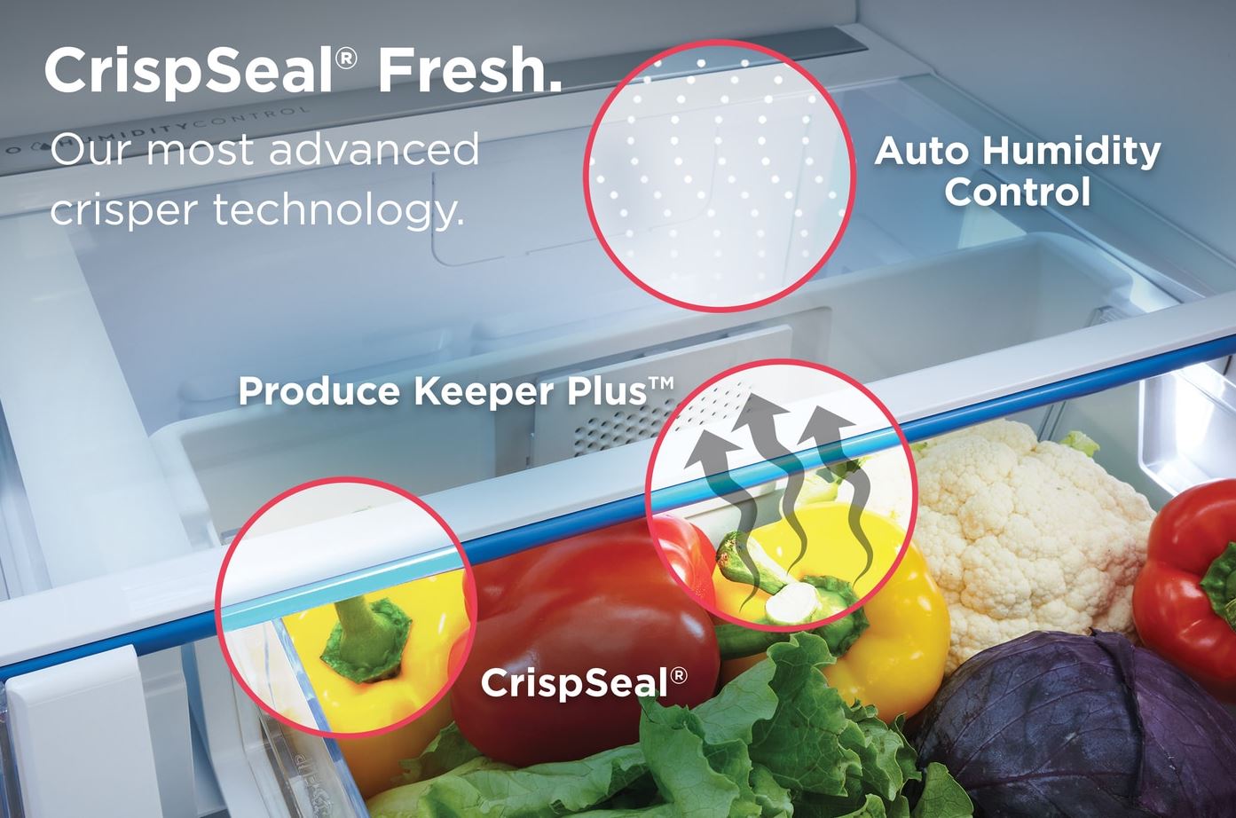 Frigidaire - Gallery 28.8 Cu. Ft. Standard-Depth French Door Refrigerator - Stainless Steel - GRBN2012AF- SN 1K42376773