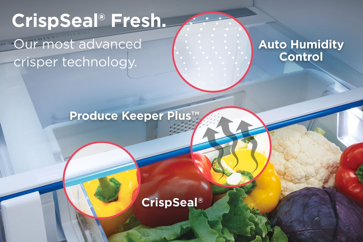 Frigidaire Gallery - 26.3 Cu. Ft. Standard-Depth 4-Door French Door Refrigerator - Stainless Steel - GRMS2773AF- SN 1K43084033