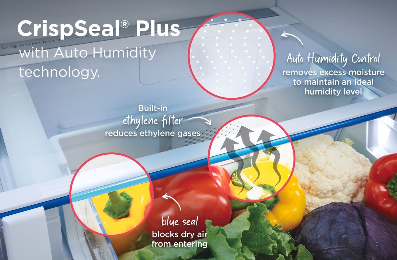 Frigidaire Gallery - 27.8 Cu. Ft. French Door Refrigerator - Stainless Steel - GRFS2853AF- SN 4A44103404