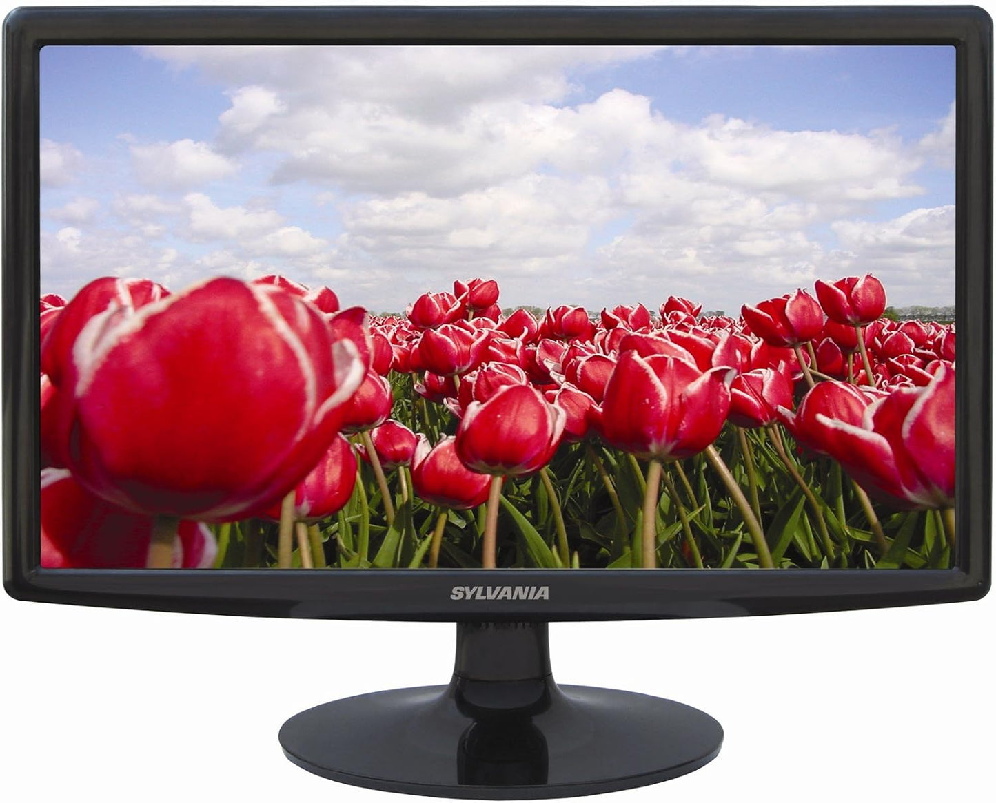 Sylvania SCM2001 20-Inch Widescreen LCD Computer Monitor SCM2001-R