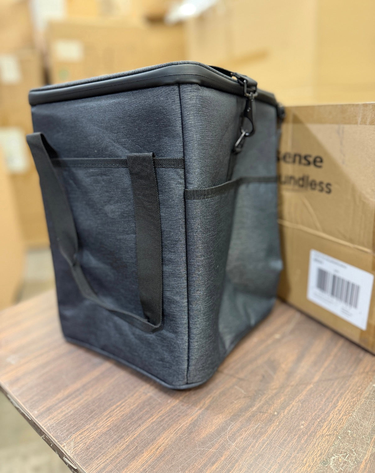 AC250848 Hisense Bag