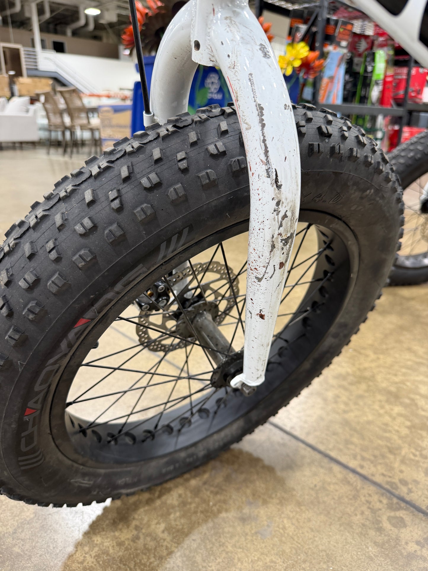 AC260133 Swagtron EB6 Bandit EBike Fat Tire Electric Bike 350W High-speed Power Assist, Removable Battery, Dual Disc Brakes, Shimano SIS Shifting Built for Trail Riding