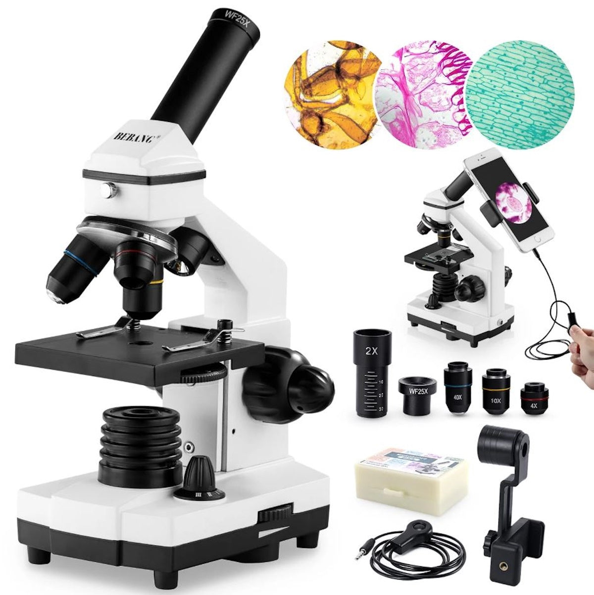 BEBANG 100X-2000X Microscopes for Kids Students Adults with Slides Set, Phone Adapter