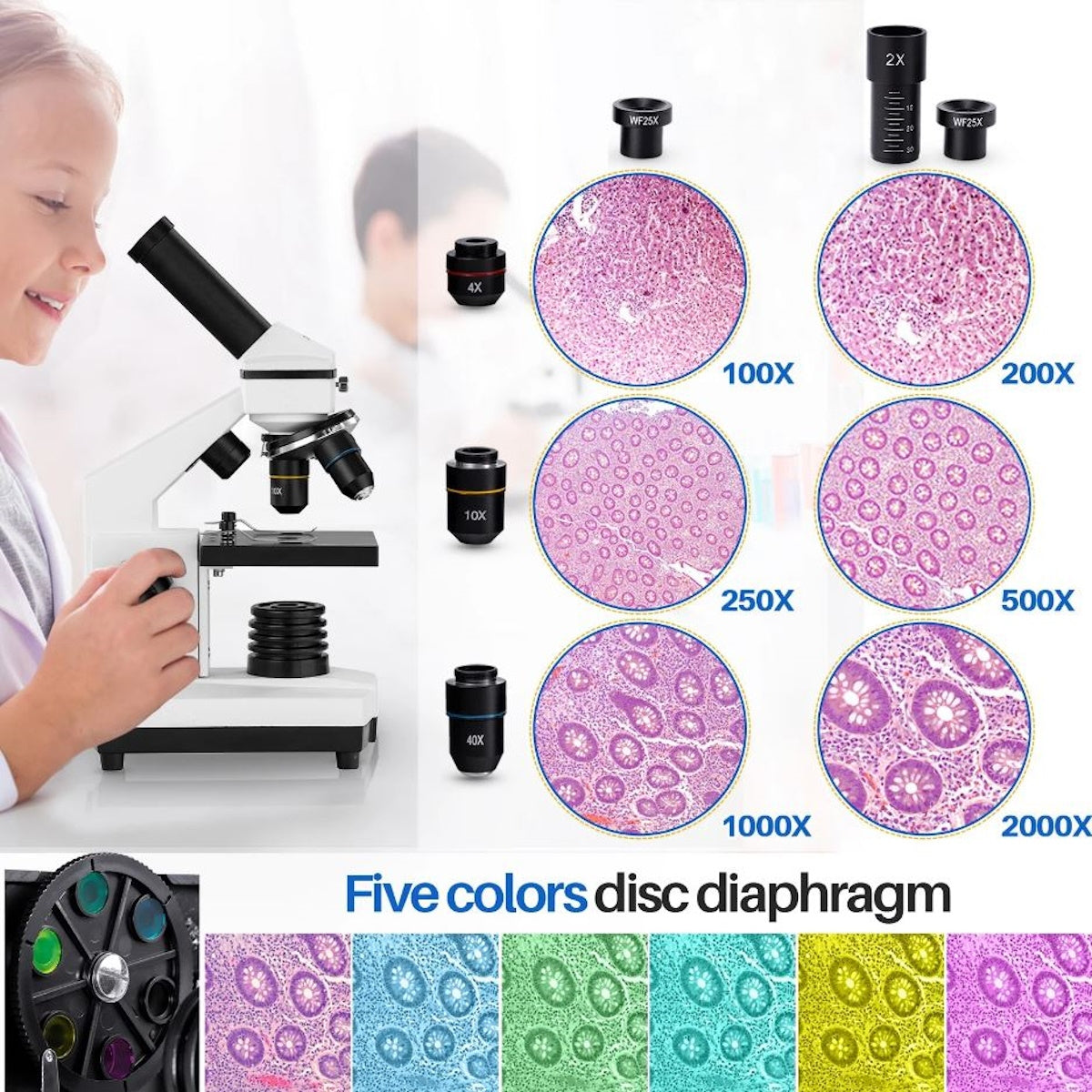 BEBANG 100X-2000X Microscopes for Kids Students Adults with Slides Set, Phone Adapter