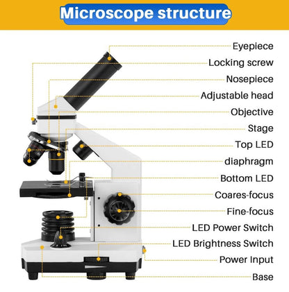 BEBANG 100X-2000X Microscopes for Kids Students Adults with Slides Set, Phone Adapter